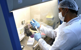 Governo do Tocantins amplia capacidade diagnóstica do Lacen/TO e fortalece vigilância laboratorial no estado
