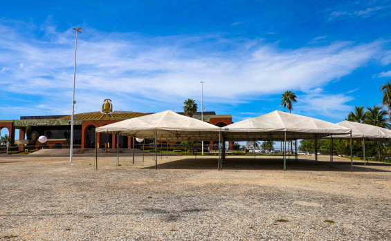 Governo do Tocantins promove programação com feira, corrida e atrações culturais na Praça dos Girassóis neste sábado, 28