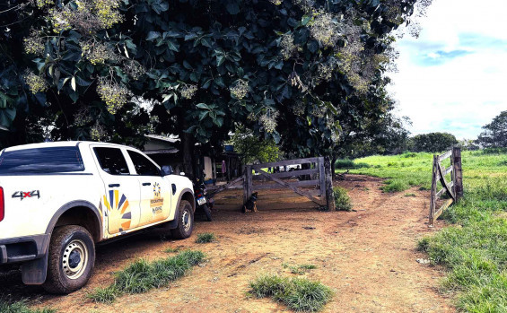 Com vigilância ativa contra febre aftosa em bovinos, Governo do Tocantins assegura sanidade e mercados para a carne tocantinense