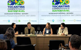 Governo do Tocantins promove oficina com foco no desenvolvimento econômico sustentável 