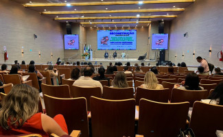 SES-TO realiza Seminário de Enfrentamento à Violência na Atenção Primária
