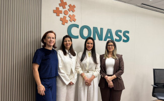 SES-TO participa de Câmara Técnica Nacional e reforça compromisso com a segurança do paciente do SUS