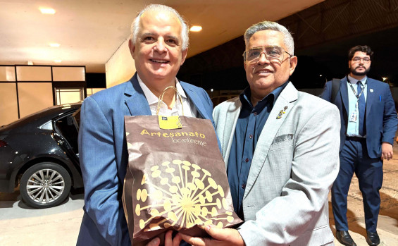 Governo do Tocantins recebe veículos e equipamentos para coordenação estadual do Programa do Artesanato Brasileiro 