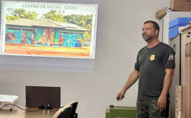 Naturatins promove capacitação sobre Manejo de Fauna Silvestre no município de Peixe