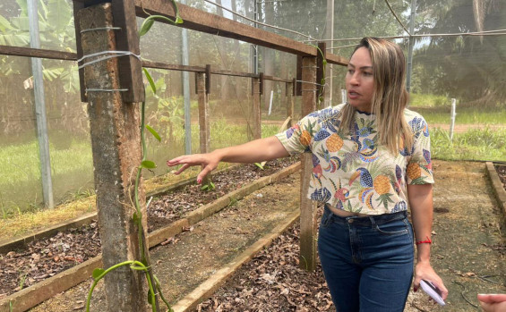 Governo do Tocantins intensifica preparativos da Agrotins 2026 com foco em inovação tecnológica e novas culturas agrícolas