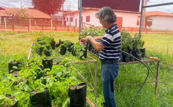 Governo do Tocantins intensifica preparativos da Agrotins 2026 com foco em inovação tecnológica e novas culturas agrícolas