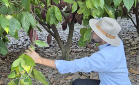 Na Bahia, Adapec participa de curso de prevenção, vigilância e controle da praga que afeta culturas de cacau e cupuaçu