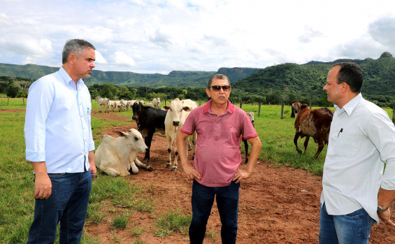 Governo do Tocantins avança na rastreabilidade bovina e inicia projetos-piloto em propriedades rurais