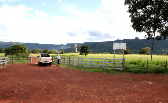 Governo do Tocantins avança na rastreabilidade bovina e inicia projetos-piloto em propriedades rurais