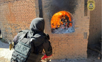Operação Protetor: Polícia Civil incinera cerca de 60kg drogas no sul do Tocantins