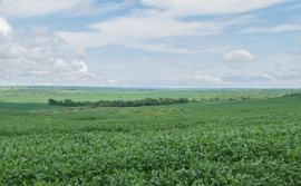 Governo do Tocantins abre o período para o plantio excepcional de soja nas várzeas tropicais a partir de 20 de abril