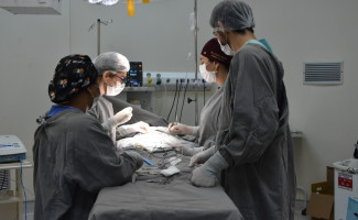 HGP realiza mutirão de cirurgias pediátricas neste fim de semana
