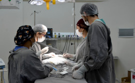 Governo do Tocantins realiza mutirão e atende 20 crianças com cirurgias pediátricas no Hospital Geral de Palmas 