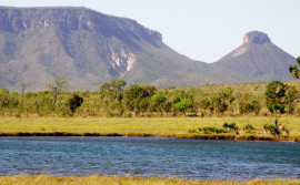 Naturatins completa 37 anos e avança com modernização na preservação e no desenvolvimento sustentável