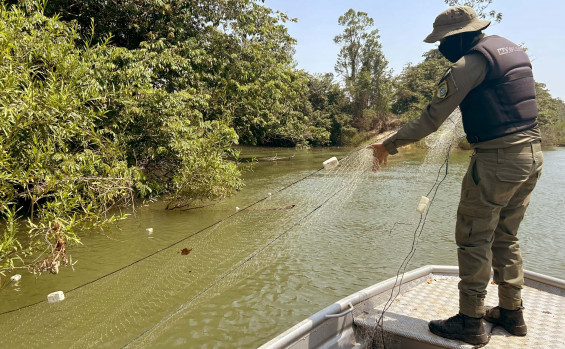 Naturatins completa 37 anos e avança com modernização na preservação e no desenvolvimento sustentável