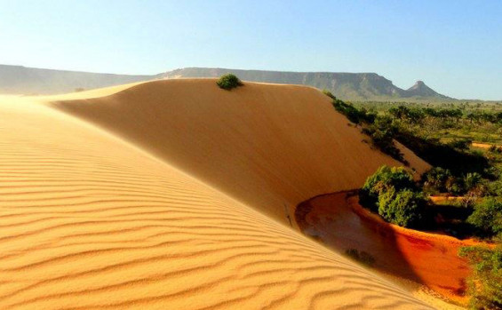 Naturatins completa 37 anos e avança com modernização na preservação e no desenvolvimento sustentável