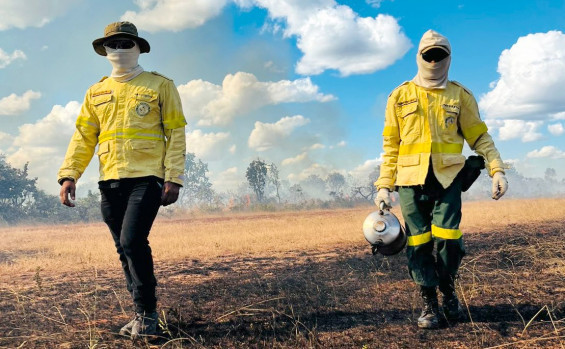 Naturatins completa 37 anos e avança com modernização na preservação e no desenvolvimento sustentável