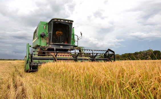 Tocantins lidera ranking nacional de qualidade de crédito com programas que unem capacitação e geração de renda