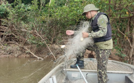 Naturatins realiza ação de fiscalização e educação ambiental na região do Bico do Papagaio