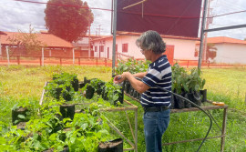 Ruraltins destaca inovação e diversificação de culturas na Agrotins 2026