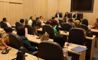 SSP/TO e Secretaria da Mulher realizam reunião de alinhamento das ações de enfrentamento à violência contra a mulher