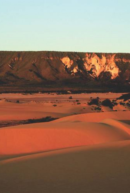 Portal do Tocantins _ Final _ SVG_ImgID44.png