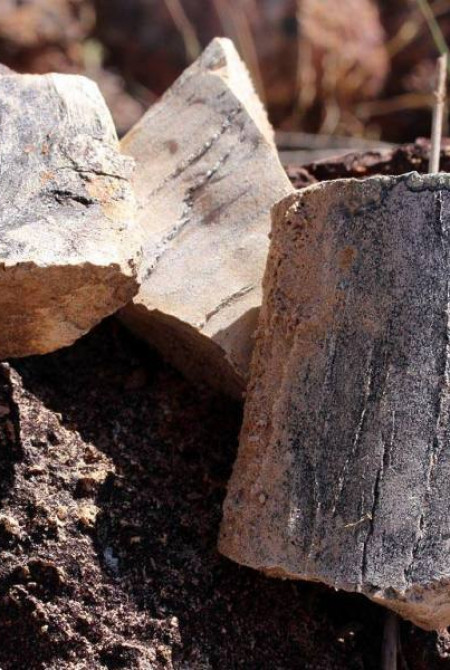 Vale dos Grandes Rios - Monaf - Carlos Magno.jpg