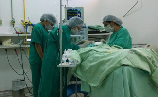 Hospital Infantil atinge marca de 200 atendimentos odontológicos a pacientes especiais
