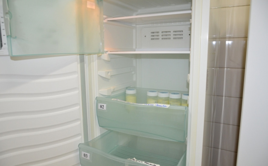 Baixo Estoque de Leite- Foto Aldenes Lima.JPG