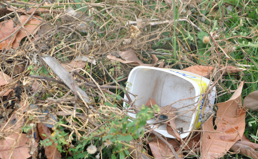 Descarte correto de lixo doméstico e retirada de materiais em lotes baldios são focos da ação