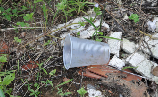 Sesau realiza assessoramento técnico para ações contra o Aedes 