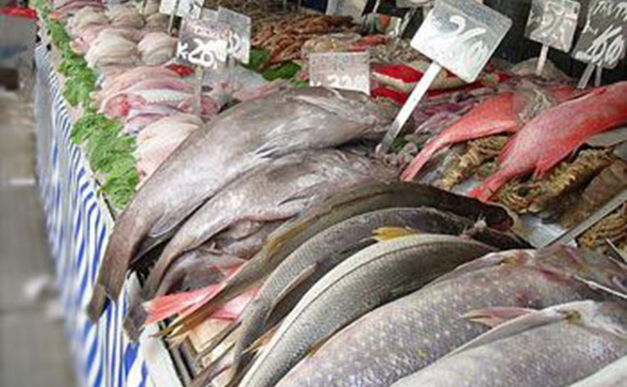 pescado-br.jpg