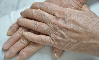 Oficina reúne profissionais e aborda Envelhecimento e Saúde da Pessoa Idosa