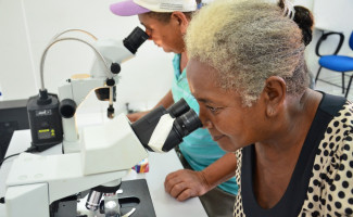 Saúde e Unitins fazem parceria para disseminar informações contra o Aedes