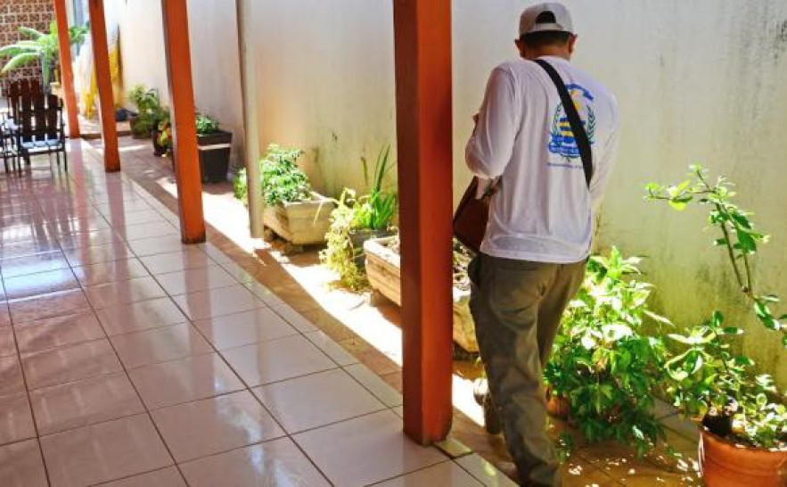 Agentes trabalham na destruição de criadouros e consequentemente, na redução da população de mosquitos - Junior Suzuky - Semus.jpg