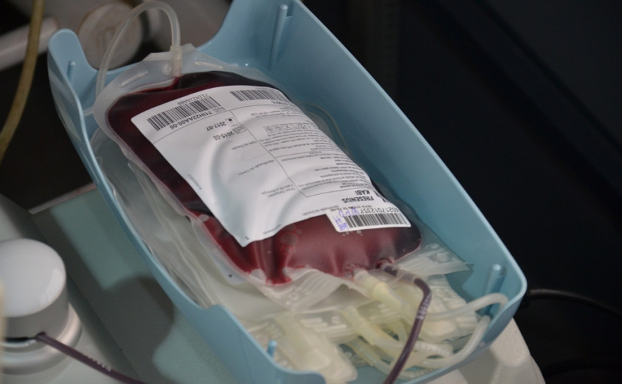 Bolsa de doação de sangue durante coleta 