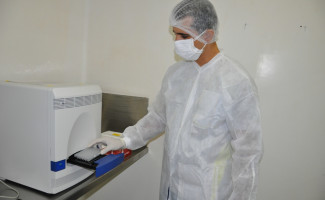 Novo teste vai agilizar diagnóstico de possível relação ente zika e microcefalia