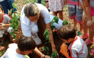 Municípios usam ideias simples para disseminar medidas de combate ao Aedes