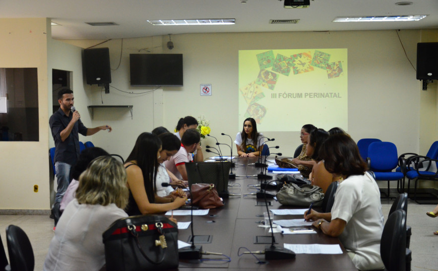 O Fórum Perinatal da Região Macro-Sul debate políticas públicas que atendam as demandas relacionadas  a saúde e qualidade de vida à mulher e às crianças