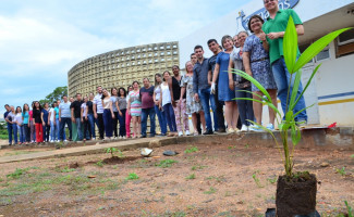 Lacen investe no plantio de mudas para criar estacionamento verde