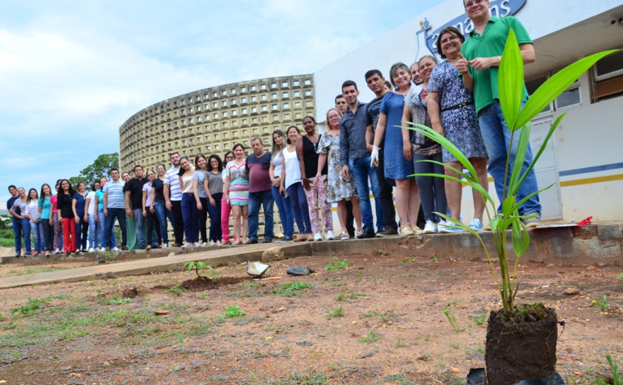 Servidores do Lacen participam de projeto dedicado à arborização de ambiente de trabalho