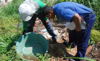 Estado busca diminuir casos de chikungunya e convoca população para o combate ao mosquito Aedes aegypti 
