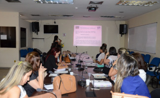 Fórum Perinatal se reúne e debate acolhimento da gestante indígena nas unidades de saúde Tocantins   