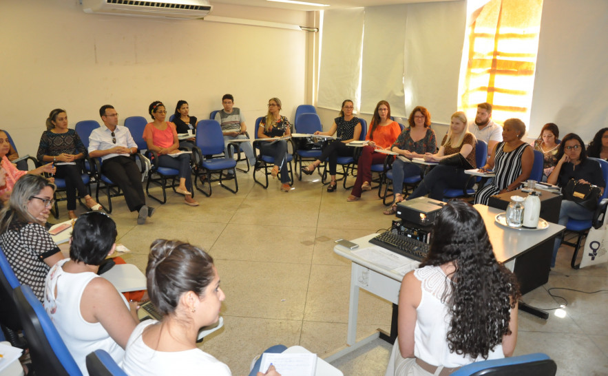 O encontro, que faz parte da programação do Termo de Cooperação 94, aconteceu na Escola Tocantinense do SUS