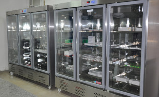  Estado adquire câmaras refrigeradas e garante melhor armazenamento e conservação de vacinas