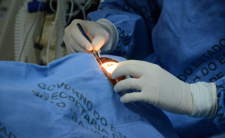 Campanha Setembro Verde incentiva a doação de órgãos e tecidos