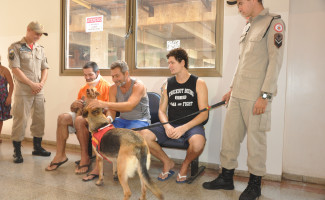 Projeto de terapia assistida por cães tem início no HGP