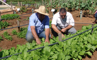 Vigilância promove curso de formação com foco no trabalho rural