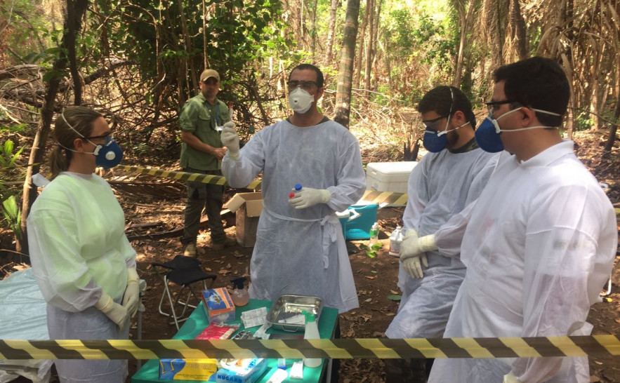 Treinamento de vigilância integrada para febre amarela (2).jpeg