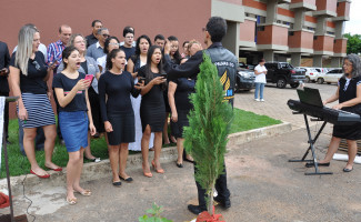 HGP realiza plantio de 100 mudas de árvores em clima de natal